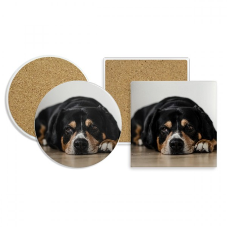 

Dog Pet Animal Photograph Floor Picture Coaster Cup Mug Holder Absorbent Stone Cork Base Set