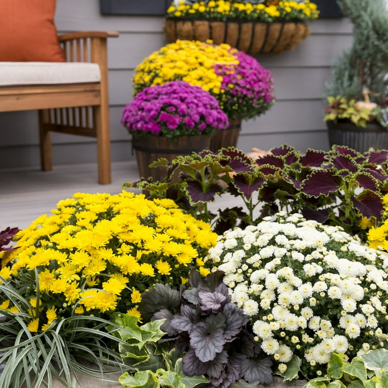 Better Homes And Gardens Pancakes | Fasci Garden