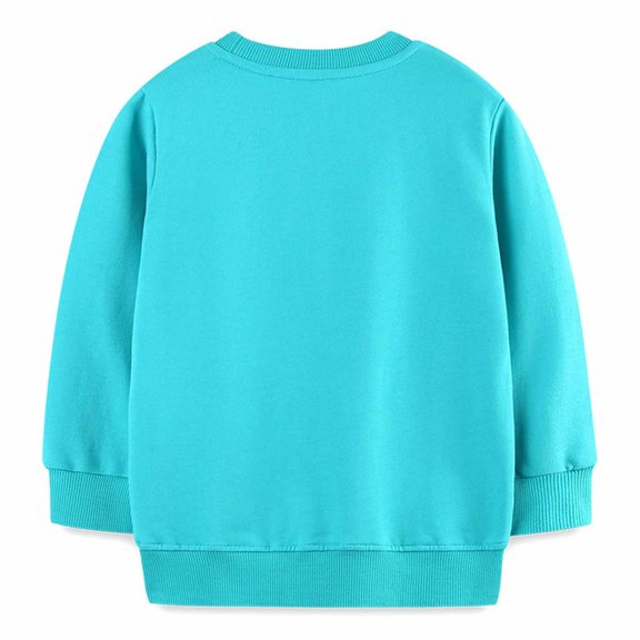 FYDUU Toddler Girls Cute Embroidered Sweatshirts Lightweight Casual Long Sleeve Crewneck Sweatshirt Pullover Tops Fall Clothes 5-6 Years