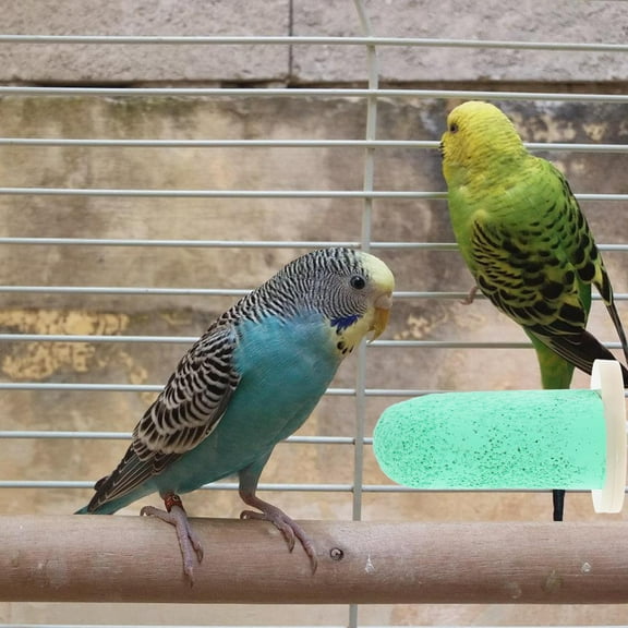 LOLIPPYY Bird Cage Perch Accessory Light Green Parrot Stand with Mineral Rich Porous Pumice Material