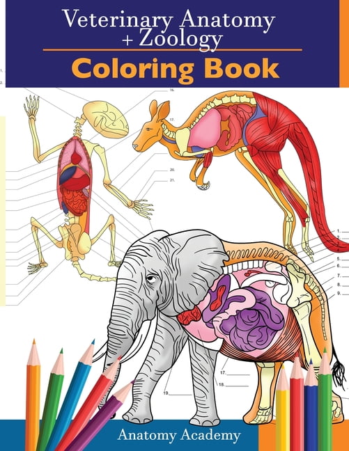 Veterinary & Zoology Coloring Book: 2-in-1 Compilation - Incredibly Detailed Self-Test Animal Anatomy Color Workbook - Perfect Gift For Vet Students And Animal Lovers (Paperback) - Walmart.com - Walmart.com Veterinary & Zoology Coloring Book: 2-in-1 Compilation - Incredibly Detailed Self-Test Animal Anatomy Color Workbook - Perfect Gift For Vet Students And Animal Lovers (Paperback) - Walmart.com - Walmart.com