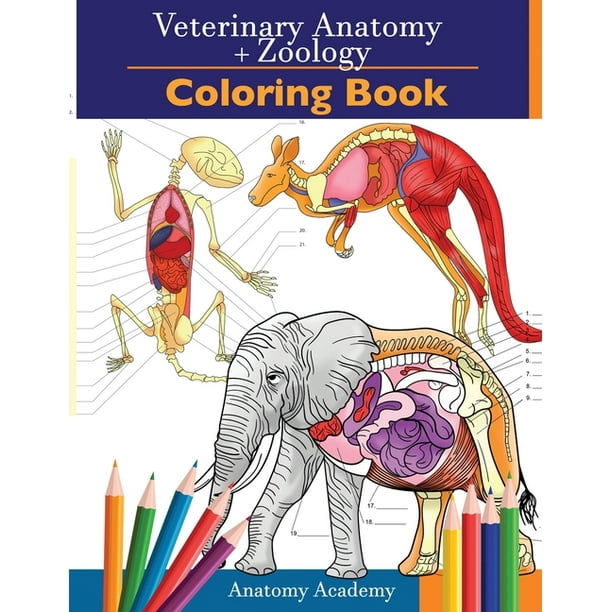 Veterinary & Zoology Coloring Book 2in1 Compilation Incredibly