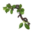 thumbnail image 3 of Decoración de ramas de árboles para trepar, decoración de ramas de reptiles, terrario, decoración de plantas, decoración de hábitat de terrario, hojas, 3 of 9