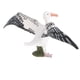 thumbnail image 1 of Plástico Gaviota Yotijar Juguete de figura animal, 1 of 10