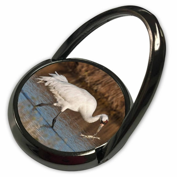3dRose, Whooping Crane bird, Aransas Refuge, Texas, USA - US44 LDI0618 - Larry Ditto, Phone Ring