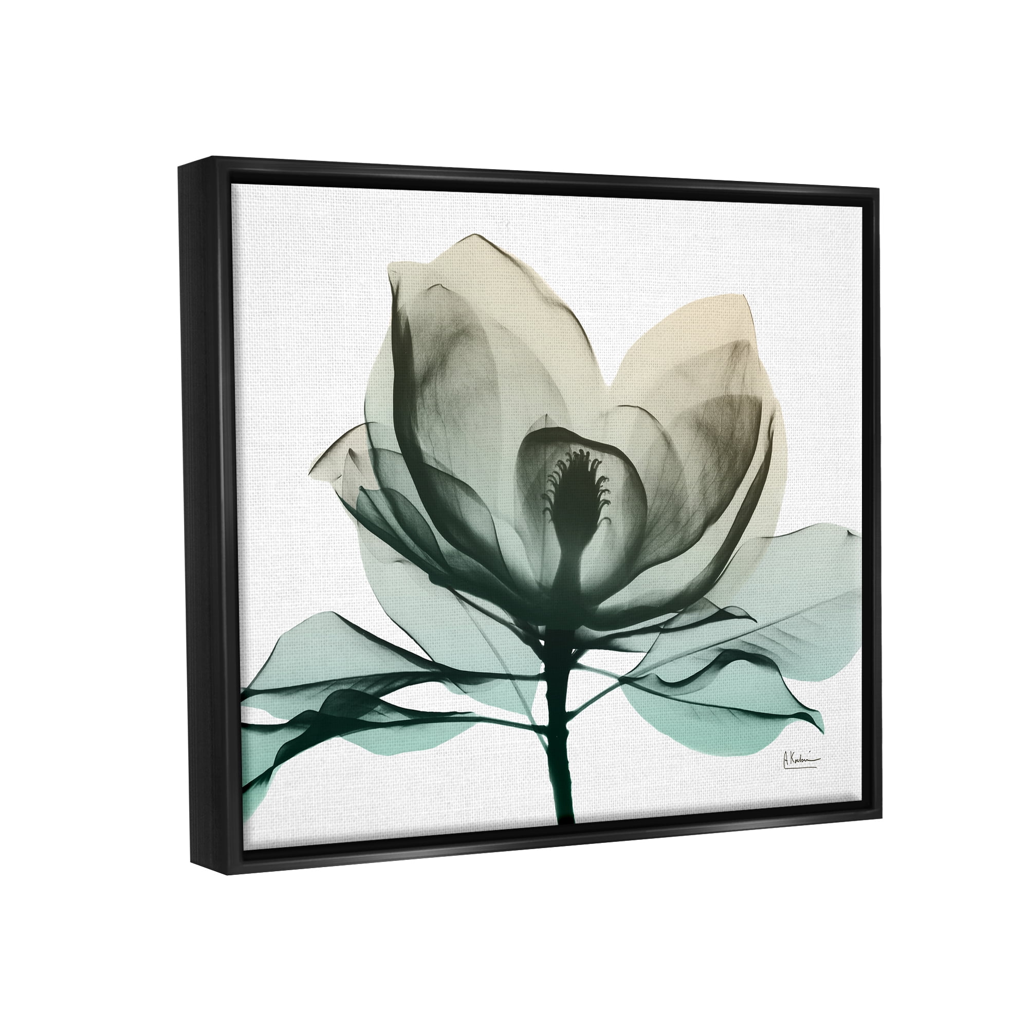 Stupell Industries Green X-Ray Flower Botanical & Floral Photography Black Floater Framed Art Print Wall Art, 21 x 17