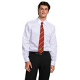 thumbnail image 2 of Deluxe Harry Potter Licensed Gryffindor Crest Neck Tie Adult Costume Accessory, 2 of 3