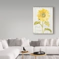 thumbnail image 3 of Trademark Fine Art 'Floursack Florals II' Canvas Art by Danhui Nai, 3 of 3