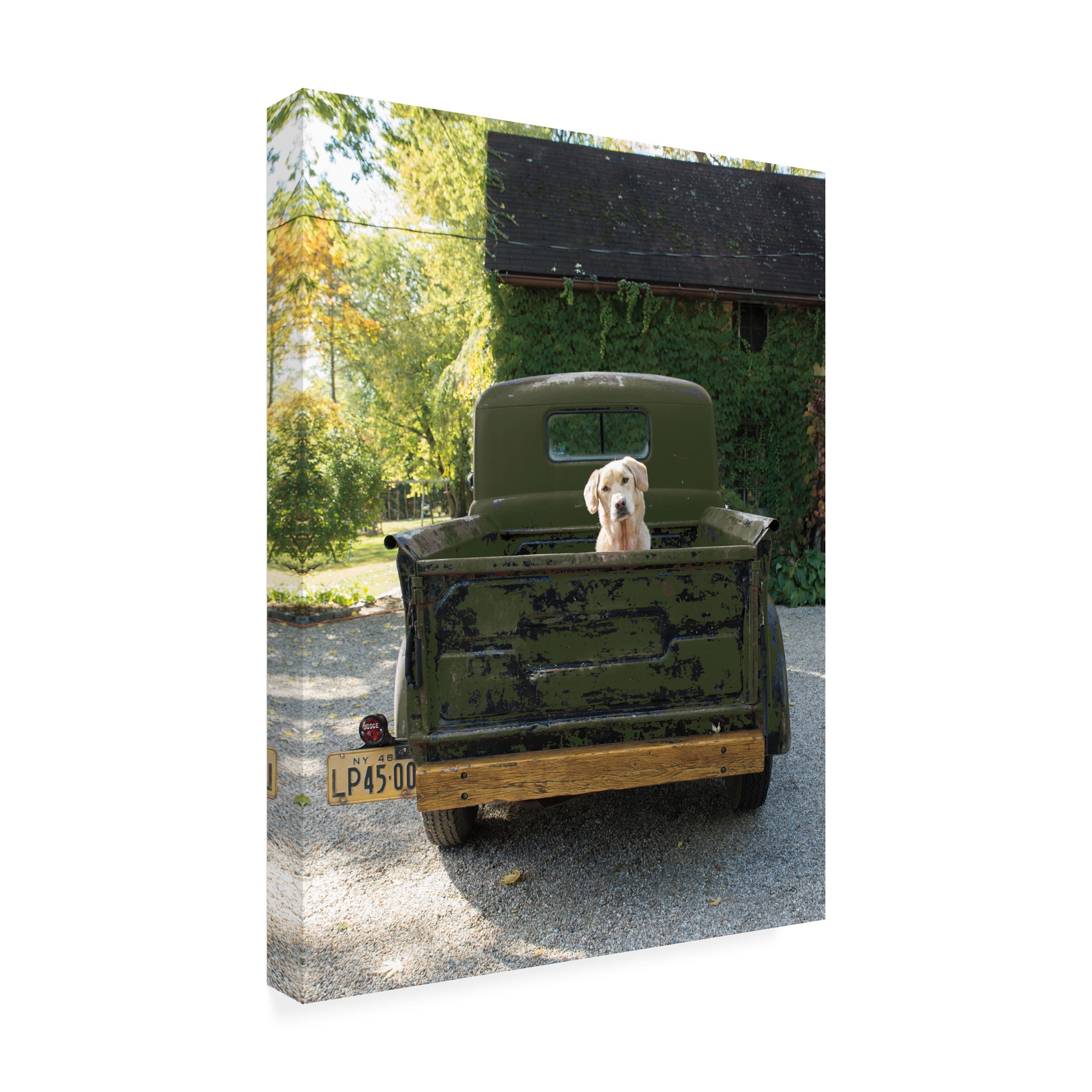 Trademark Fine Art 'Get Out of Dodge Hunter Green' Canvas Art by Jim Dratfield
