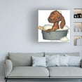 thumbnail image 3 of Danny Gordon Art 'Brown Dachshund Bubble Bath' Canvas Art, 3 of 3