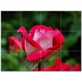 thumbnail image 1 of Flowers Ceramic Tile Mural Kitchen Backsplash Bathroom Shower 402486-M43, 1 of 3
