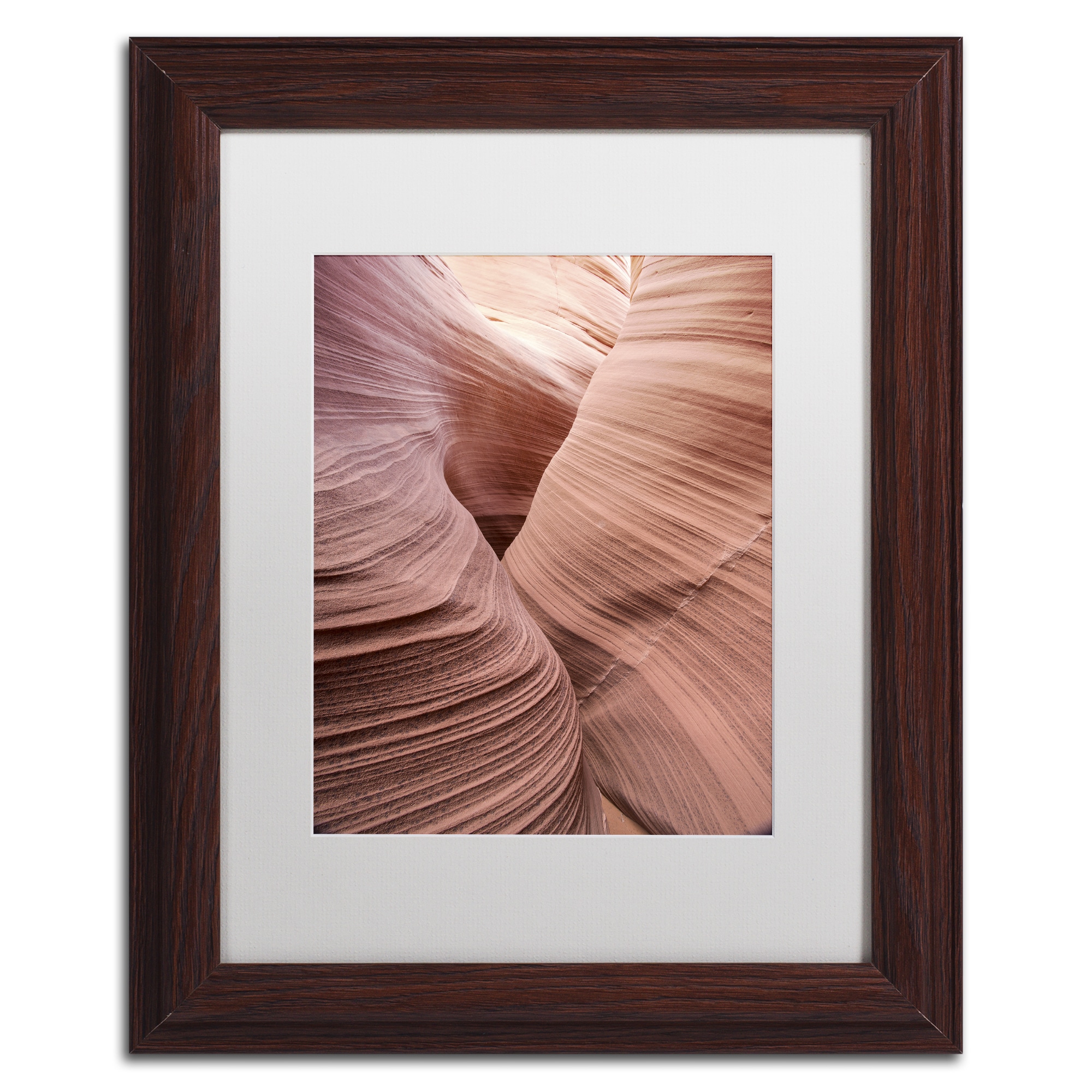 Trademark Fine Art "Spiral V" Canvas Art by Moises Levy White Matte, Wood Frame
