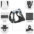 thumbnail image 6 of Fotbe Gray White Floral Pattern Dog Harness, No-Pull Pet Harness with 2 Leash Clips, Adjustable Soft Padded Dog Vest with Easy Control Handle for Large Dogs-Small, 6 of 6