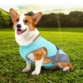 thumbnail image 2 of Chaleco refrescante de verano para perros, arnés reflectante de liberación rápida, ropa para mascotas, chaqueta fresca para perros pequeños y medianos, abrigo más fresco, 2 of 5