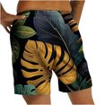 thumbnail image 3 of IROINNID Mens Swim Trunks 5" with Mesh Lining Quick Dry Bathing Suits for Men Swim Shorts Swimwear, 3 of 5