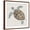 Brown Frame, variant on Art.com Sea Turtle II Stretched Canvas Print Wall Art by Naomi McCavitt, 30" x 30"