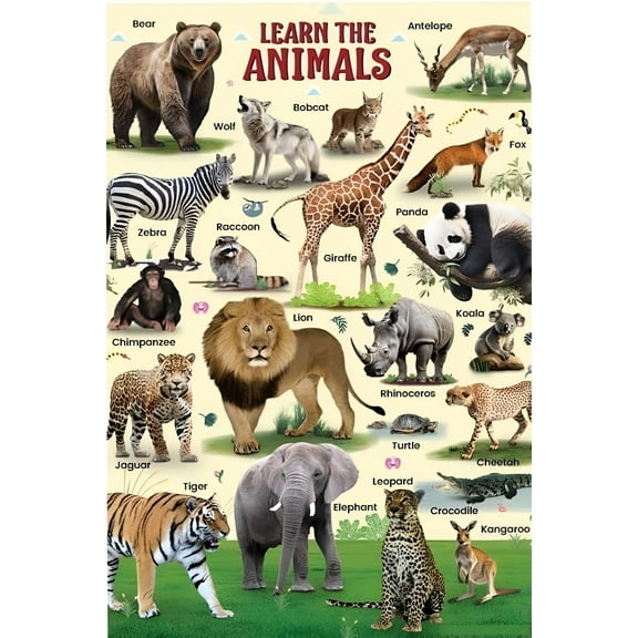 Wild Animal Educational Poster for Kids Classroom poster  Wall Charts for Toddlers Learning Posters for Preschoolers Kindergarten Classroom