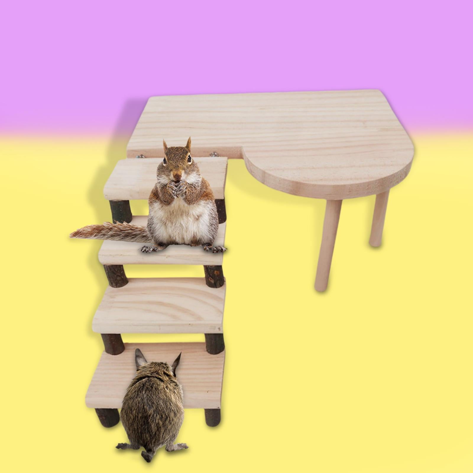 EHJRE Two Layers Hamster Platform with Climbing Ladder Cage Accessories Pine Toys Bridge Climbing Kits for Small Animal Parrot Rat Parakeet Gerbil