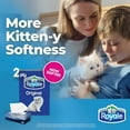 thumbnail image 4 of Royale Original 2 Ply Facial Tissue, 24 Tissue Boxes, 100 Tissues per Box, 4 of 6