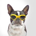 thumbnail image 1 of Dog Goggles, Pet Sunglasses, Uv Protection, 1 of 1