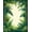Green, Pattern 1, variant on Flatwoven High Traffic Area Rug, Tropical Rainforest Botanical Nature Inspired Decorative Accent, Non Slip, Stain Resistant, Washable Area Rugs for Living Room, Bedroom(Green, 4X6)