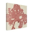thumbnail image 2 of Trademark Fine Art 'Brilliant Seaweed V' Canvas Art by Vision Studio, 2 of 4