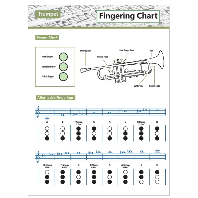 Trumpet Practice Chart Chord Trumpet Fingering Chart Trumpet Fingering  Chart Music Chords Poster L - Walmart.com