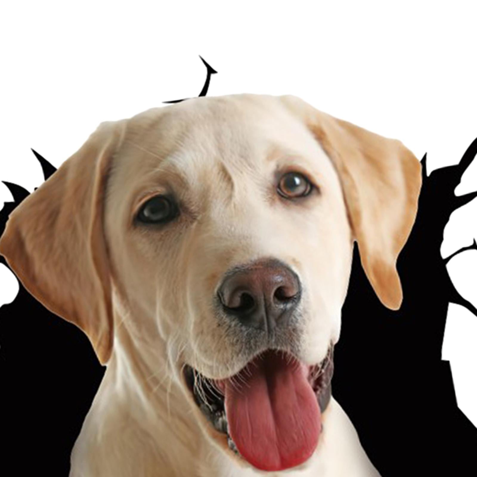 AMA SHOP Adhesivo recortado de perro raza Shnauzer mod.5 | Color negro