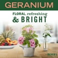 thumbnail image 4 of Mrs. Meyer's Clean Day Room Freshener Spray Bottle, Geranium Scent, 8 fl oz, 4 of 5