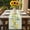 green, variant on Summer Lemon Table Runner - 90 Inch Long, Kitchen Dining Table Runner Dresser Scarves, Country Botanical Fruit Green White Check Farmhouse Decor for Coffee Tables Wedding Party Banquet