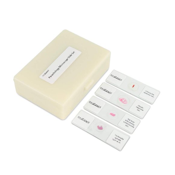 Ensemble de Glissières de Microscope de Parasitologie Préparé, Excellent 30 Pcs Glissières pour l'Enseignement au Niveau Universitaire (Parasitologie)