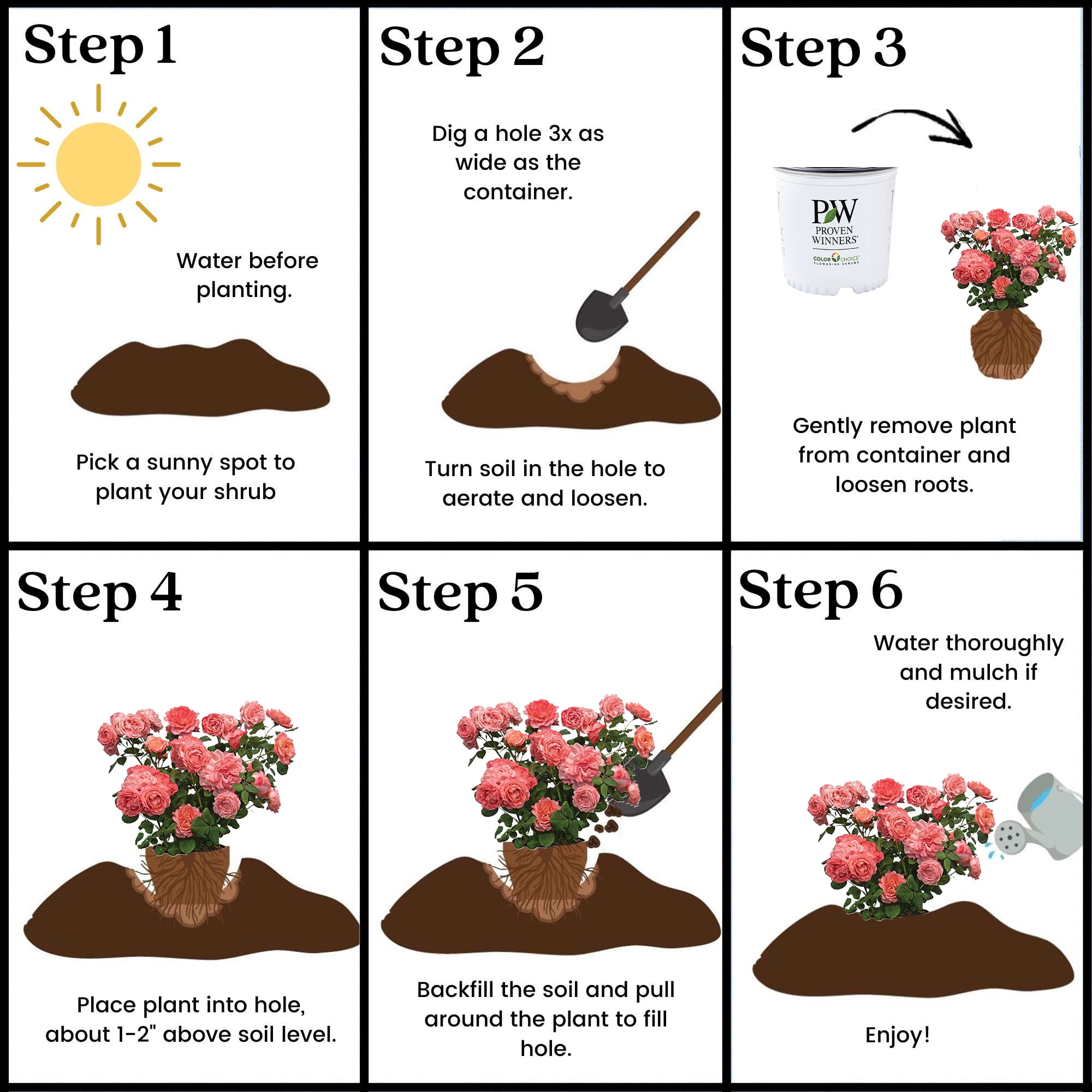 Proven Winners ColorChoice Reminiscent Coral Rose Live Shrub (2 Gallon)