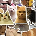 thumbnail image 2 of Compra 50 pegatinas de gatos bonitos sin repetir para equipaje, cuadernos, vasos, teléfonos móviles y juguetes, 2 of 8