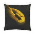thumbnail image 2 of Ahgly Company Animals Snake Coussin d'Extérieur 18 Pouces par 18 Pouces, 2 of 6