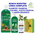 thumbnail image 4 of Shampoo Árbol de Té con Miel 1000 ml 3H. Anticaspa, Antiséptico, Detox, 4 of 4