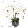 thumbnail image 4 of Vanity Art 27.95" H Phalaenopsis Orchids Floral Arrangement in Bamboo Woven Pot, 4 of 7
