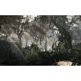thumbnail image 5 of Call of Duty : Ghosts (Xbox One) par ACTIVISION, 5 of 5