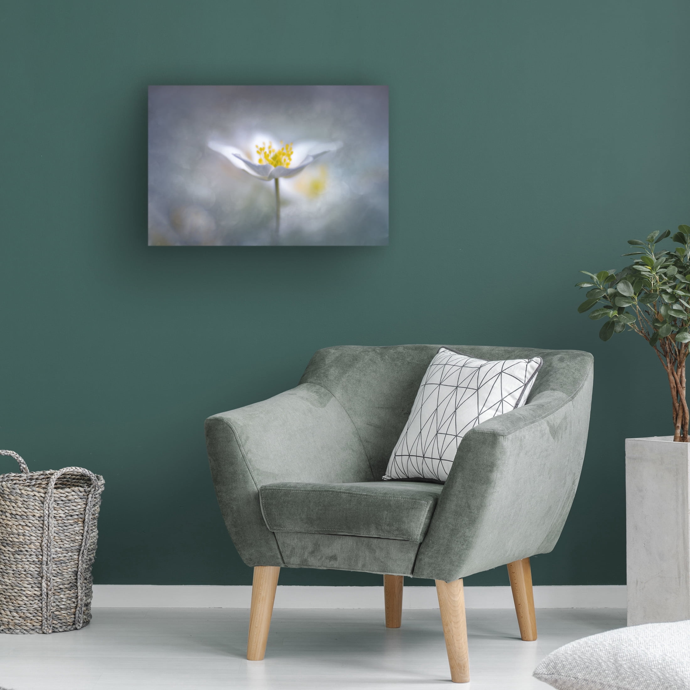 Trademark Fine Art Ludwig Riml Dreamy Canvas Wall Art
