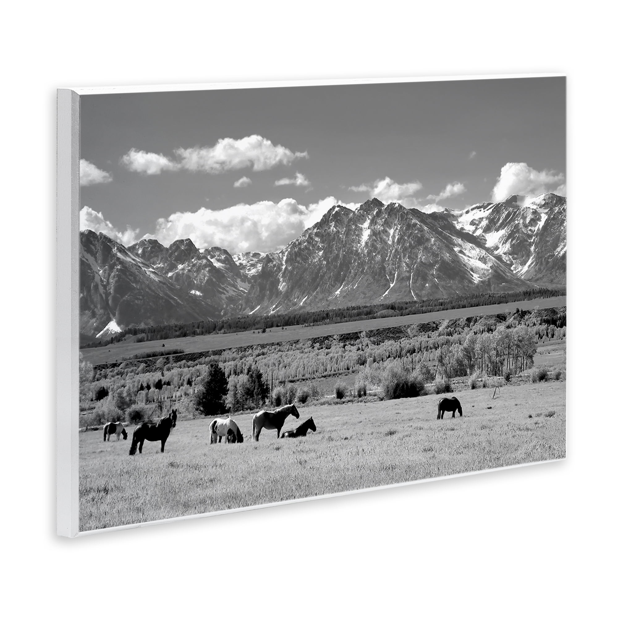 Stupell Industries Wyoming Ranch Horses Grazing Wall Plaque Art, design by Steve Toole