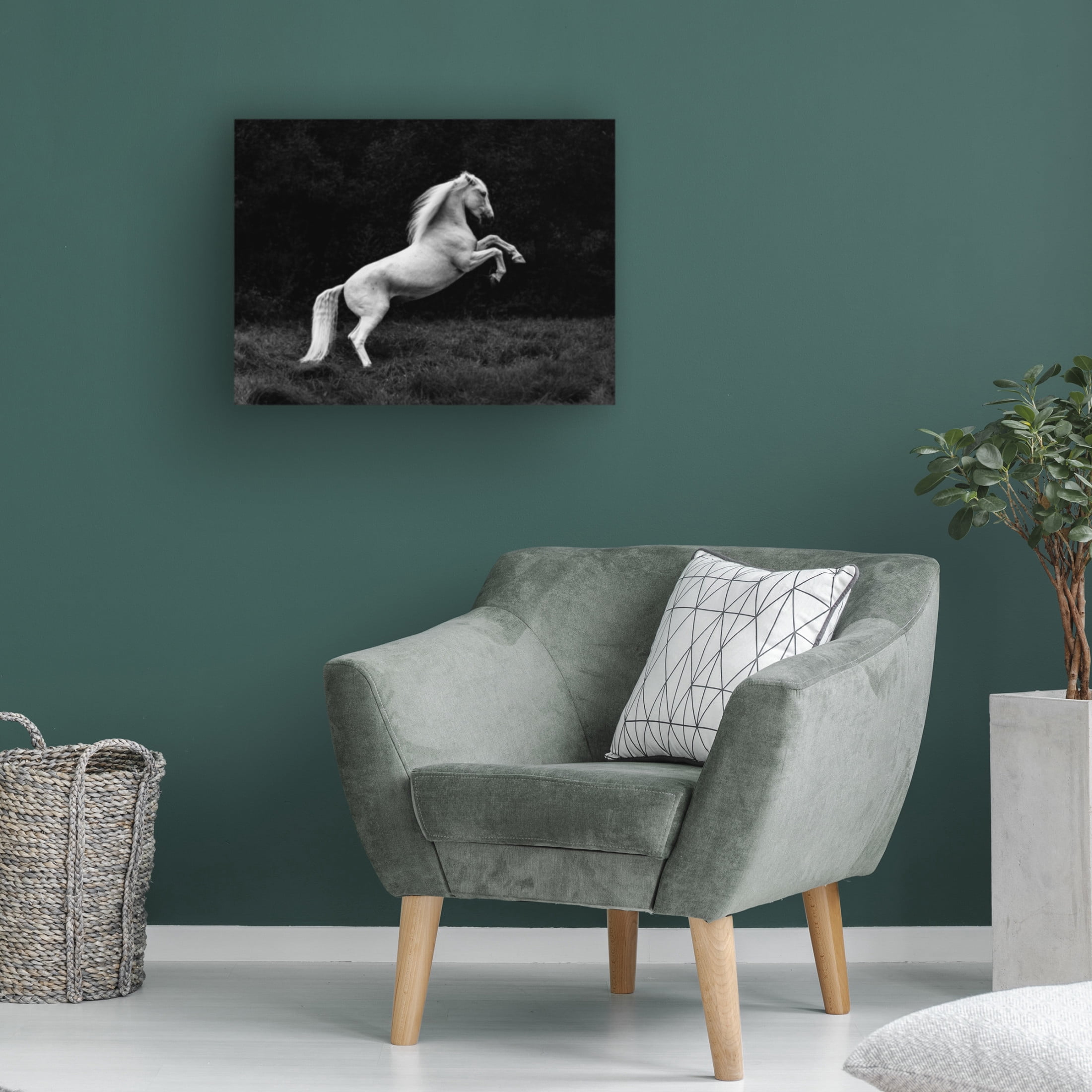Trademark Fine Art Cembrzynski Ignacy a short story of a blade of grass in a hoof Canvas Wall Art