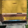 thumbnail image 1 of OUNONA Ensemble de 4 Réducteurs d'Entrée en Bois pour Ruche pour Outils d'Apiculture Contrôle de la Ventilation, 1 of 7