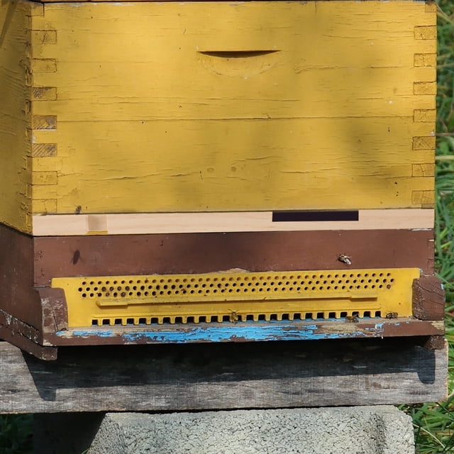 OUNONA Ensemble de 4 Réducteurs d'Entrée en Bois pour Ruche pour Outils d'Apiculture Contrôle de la Ventilation