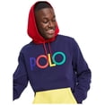 thumbnail image 3 of Polo Ralph Lauren Logo Colorblock Double-Knit Hoodie Sweatshirt (Navy, Medium), 3 of 5