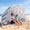 Holiday Glow, variant on Beach Tent Easy Set Up Canopy Sun Shelter Shade with UPF 50+UV Protection Portable Beach Umbrella Outdoor Sunwall with Sand Pockets for Fishing Backyard Camping