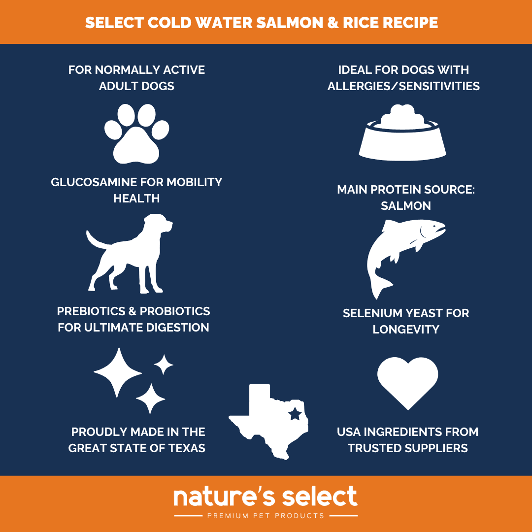 Nature's Select Cold Water Salmon & Rice Recipe, Dry Dog Food for Adults (28 lbs)
