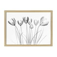 thumbnail image 2 of Kate and Laurel Blake Crocus X Ray Floral BW Framed Printed Glass Wall Art by The Creative Bunch Studio, 18x24 Natural, Decorative Modern Flower Art Print for Wall, 2 of 6