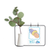 thumbnail image 1 of Productos de cuidado de la salud Pill Pattern Illustration Jarrones colgantes de vidrio transparente Decoración Botella, 1 of 4