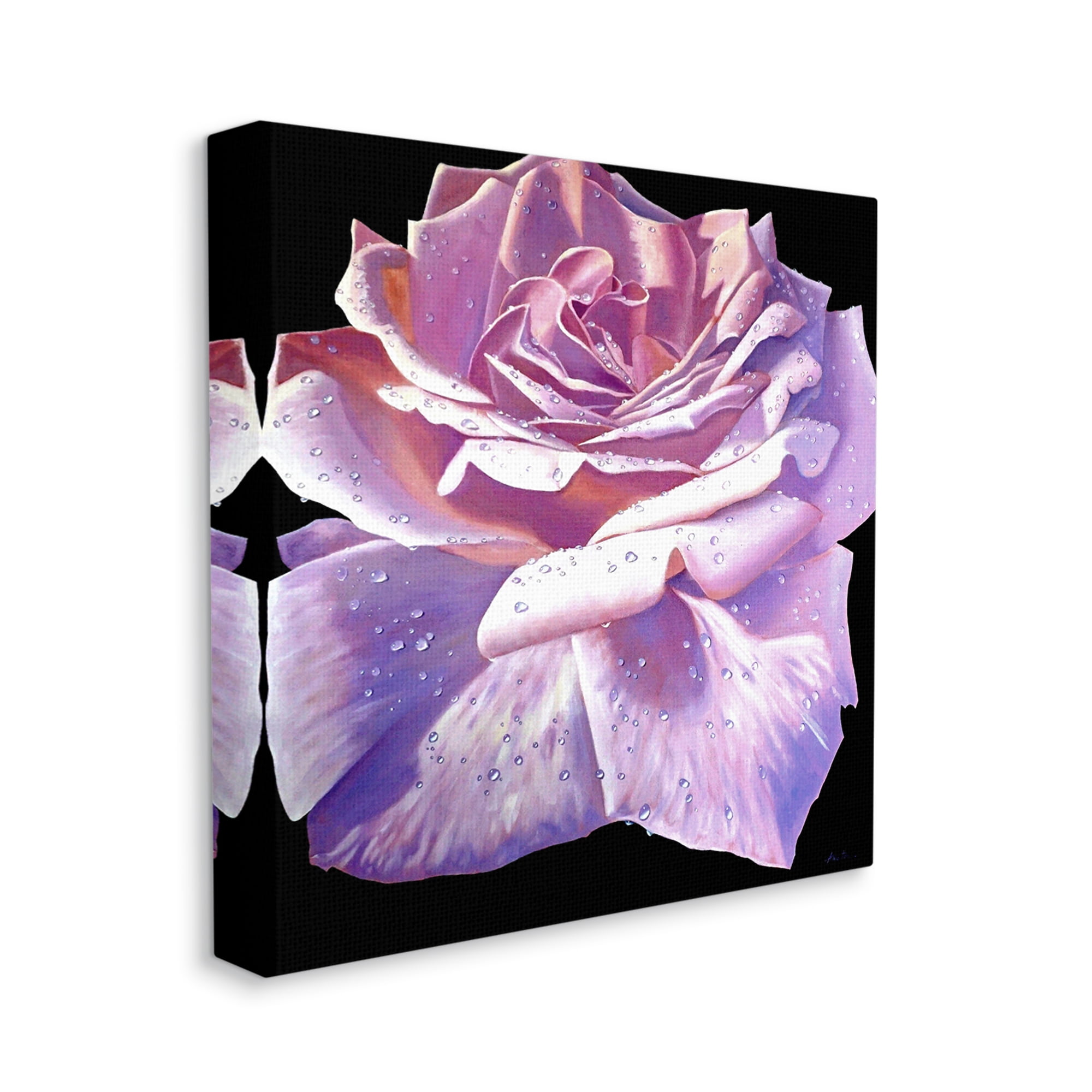 Stupell Industries Lush Pink Rose Petals Flower Water Droplets Painting Gallery Wrapped Canvas Print Wall Art, Design by Alan Weston