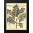 thumbnail image 2 of DeShayes, Gerard Paul 19x24 Black Modern Framed Museum Art Print Titled - Weathered Oak Leaves I, 2 of 5