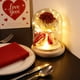 thumbnail image 1 of Farol de Ornamentos de Rosas | Cubierta de vidrio de flores secas inmortales | Luz LED romántica | Regalo de San Valentín Duradero | Marrón Blanco | 6,1x3,35 pulgadas | Cinta decorativa, 1 of 6